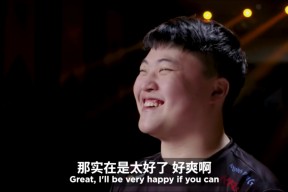 关于科维托娃重返赛场，爆冷首场状态出色，RNG观众沸腾！的信息-开云安全官网